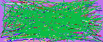reverse email look up